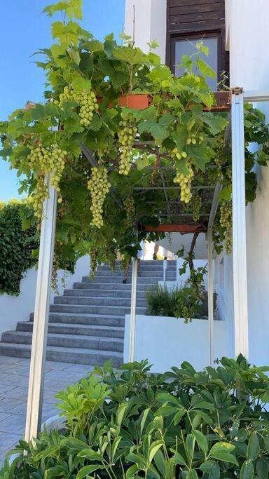 Villa En Oropesa Oropesa del Mar Exterior foto